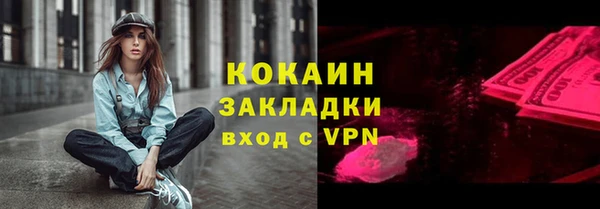 тгк Алексин