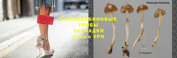 тгк Алексин