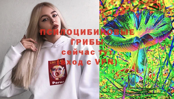каннабис Алзамай